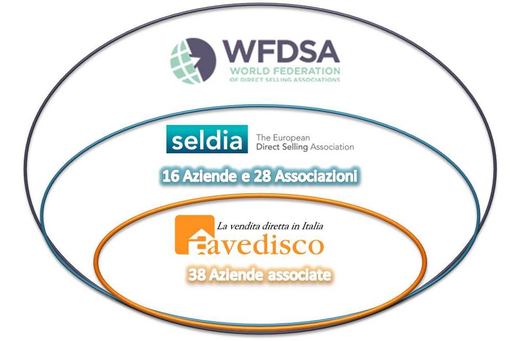 avedisco-seldia-wfdsa
